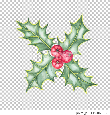 A trio of holly berries and green leaves illustrated in watercolor. Use this ilex design for festive banners, social media posts, holiday e-cards, or custom holiday merchandise like mugs or ornaments 119407607