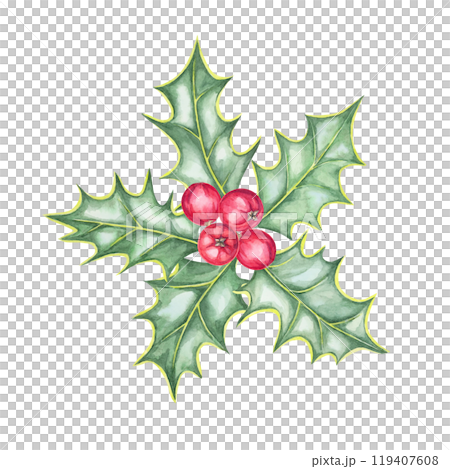 Holly with five green leaves and red berries. Isolated watercolor illustration. Hand drawn Ilex clipart for Christmas cards, festive stationery, winter-themed merchandise, or seasonal apparel prints 119407608