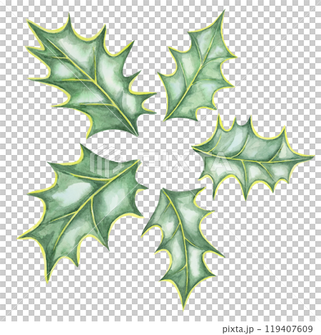 A watercolor clipart of five green holly leaves with sharp edges. Isolated design element. Ilex illustration for Christmas-themed designs, wrapping paper, greeting cards, or festive digital decor 119407609