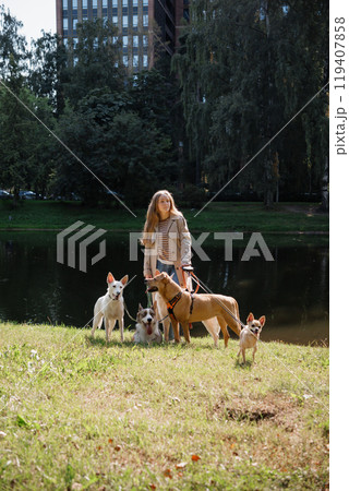 oung female dog sitter walks with dogs in park by lake. concept of friendship, pet, recreation. 119407858