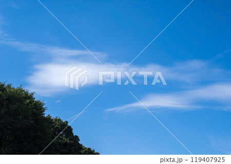 秋の空 119407925