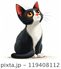 Cute black and white Tuxedo Cat Illustration drawing 119408112