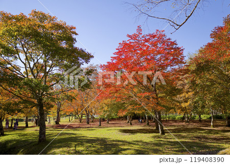 北海道の紅葉 北海道の紅葉 119408390