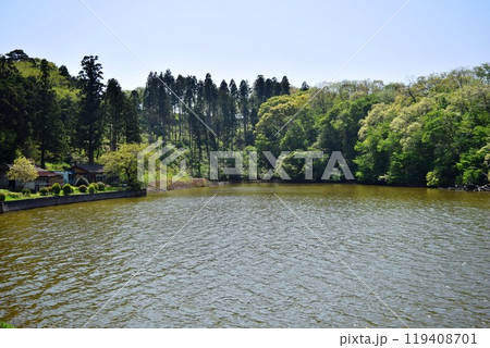 ラムサール条約登録地 大山上池・下池 119408701