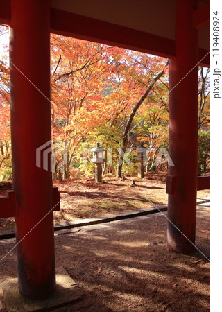 奈良の桜と紅葉の名所談山神社 119408924