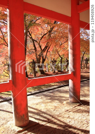 奈良の桜と紅葉の名所談山神社 奈良の桜と紅葉の名所談山神社 119408926