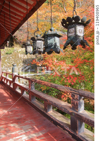 奈良の桜と紅葉の名所談山神社 奈良の桜と紅葉の名所談山神社 119408965