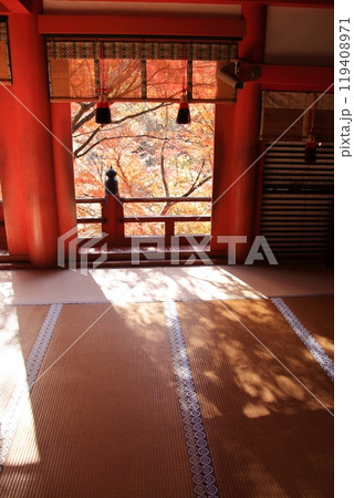 奈良の桜と紅葉の名所談山神社 奈良の桜と紅葉の名所談山神社 119408971
