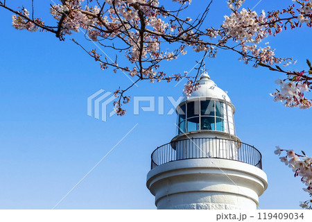 姫島灯台と桜 姫島灯台と桜 119409034