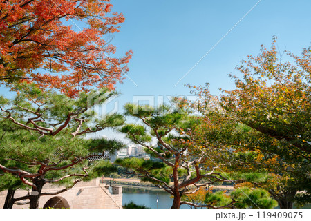 Jinjuseong Fortress and river at autumn in Jinju, Korea 119409075