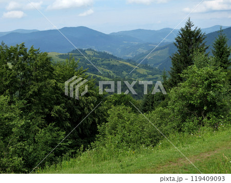 Green bushes and trees near the mountain trail on a background of mountains 119409093
