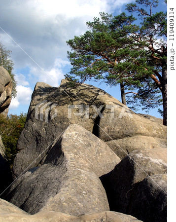 Rock against the blue sky with evergreen pines. Carpathian mountains, Dovbush Rocks Rock against the blue sky with evergreen pines. Carpathian mountains, Dovbush Rocks 119409114