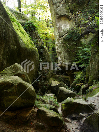 Passage between greenery overgrown moss background green trees. Carpathian mountains, Dovbush rocks Passage between greenery overgrown moss background green trees. Carpathian mountains, Dovbush rocks 119409161