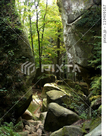 Rocks and stones overgrown with green moss. Mountains Carpathians, Rocks of Dovbush Rocks and stones overgrown with green moss. Mountains Carpathians, Rocks of Dovbush 119409167