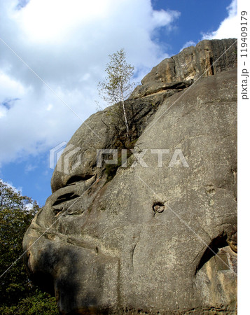 Young birch tree on a rock against the blue sky. Mountains Carpathians, Rocks of Dovbush 119409179