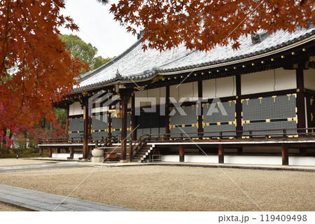 秋の仁和寺　金堂【国宝】 119409498
