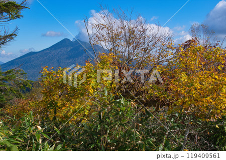 尾瀬の富士見平から見た燧ケ岳 119409561