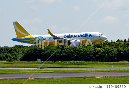 セブ航空A320成田アブローチ十余三 119409830