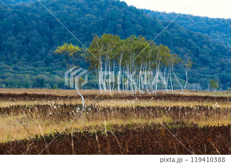 紅葉の尾瀬ヶ原 119410388
