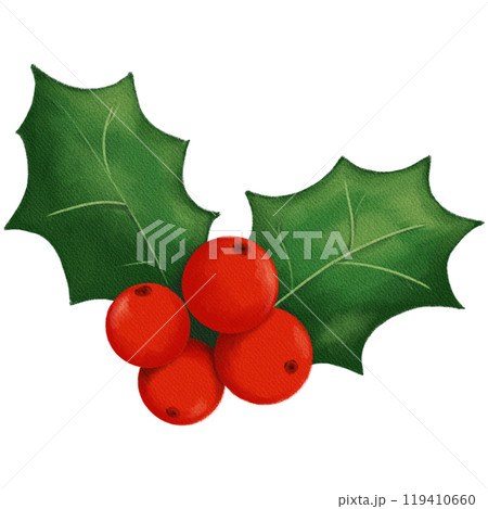Retro Christmas Holly with Red Berries and Green Leaves - Classic Holiday Decor Illustration 119410660