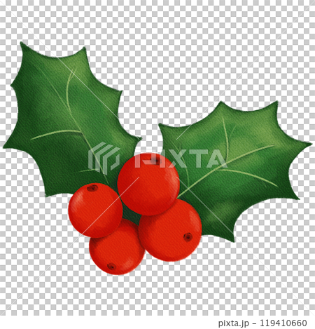 Retro Christmas Holly with Red Berries and Green Leaves - Classic Holiday Decor Illustration 119410660