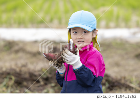 サツマイモを収穫する女の子 119411262