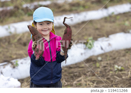 サツマイモを収穫する女の子 119411266