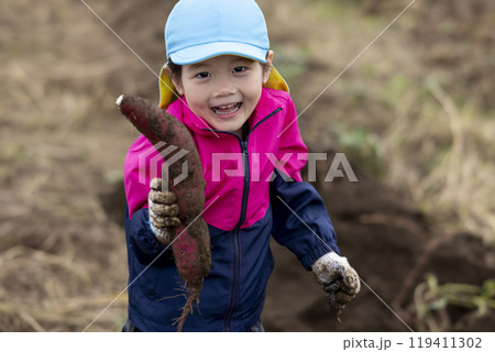 サツマイモを収穫する女の子 サツマイモを収穫する女の子 119411302