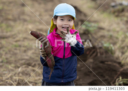 サツマイモを収穫する女の子 119411303