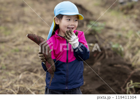 サツマイモを収穫する女の子 サツマイモを収穫する女の子 119411304