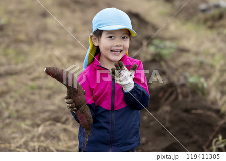 サツマイモを収穫する女の子 119411305