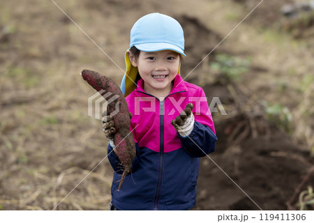 サツマイモを収穫する女の子 119411306