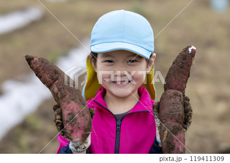 サツマイモを収穫する女の子 119411309