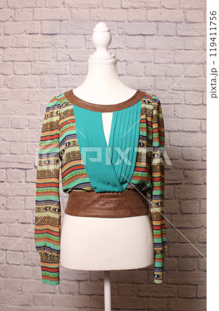 Vintage Fashion on Dress Form Colorful Shirt Vintage Fashion on Dress Form Colorful Shirt 119411756