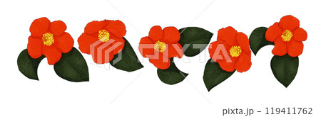 椿のイラスト素材 119411762