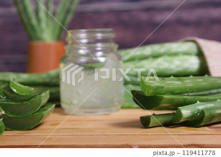 Fresh Raw Aloe Vera on Table After Harvest Fresh Raw Aloe Vera on Table After Harvest 119411778