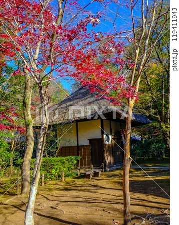 紅葉と戴渓堂(縦) 紅葉と戴渓堂(縦) 119411943