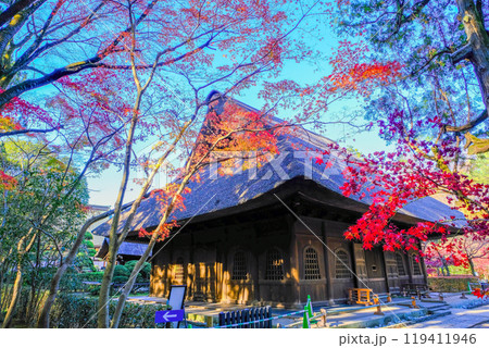 楓と仏殿 楓と仏殿 119411946