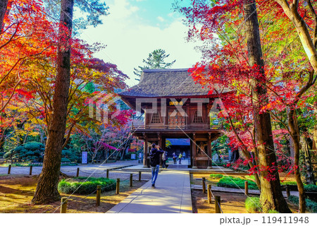 紅葉に包まれる、山門 紅葉に包まれる、山門 119411948