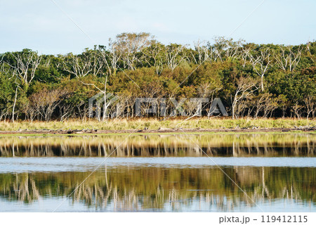 秋の野付半島　北海道 119412115