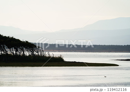 秋の野付半島 北海道 秋の野付半島 北海道 119412116