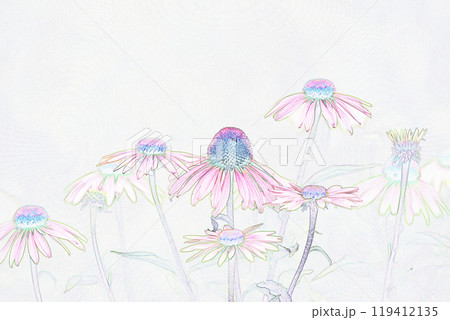 パステル調　”エキナセア（ムラサキバレンギク）“ハーブ”　イラストイメージ 119412135