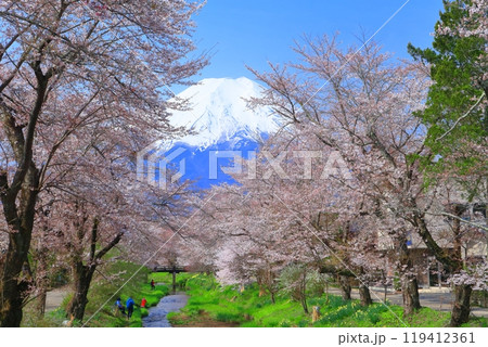 【山梨県】富士山と忍野村の満開の桜 【山梨県】富士山と忍野村の満開の桜 119412361