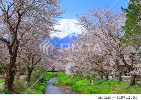 【山梨県】富士山と忍野村の満開の桜 119412363