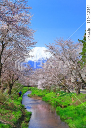 【山梨県】富士山と忍野村の満開の桜 【山梨県】富士山と忍野村の満開の桜 119412364