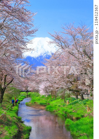 【山梨県】富士山と忍野村の満開の桜 【山梨県】富士山と忍野村の満開の桜 119412367