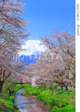 【山梨県】富士山と忍野村の満開の桜 119412369