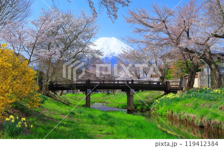 【山梨県】富士山と忍野村の満開の桜 【山梨県】富士山と忍野村の満開の桜 119412384