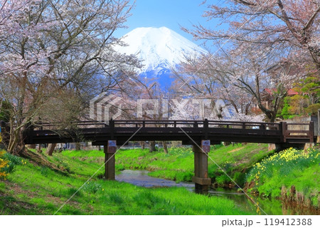 【山梨県】富士山と忍野村の満開の桜 【山梨県】富士山と忍野村の満開の桜 119412388