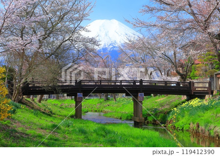 【山梨県】富士山と忍野村の満開の桜 119412390